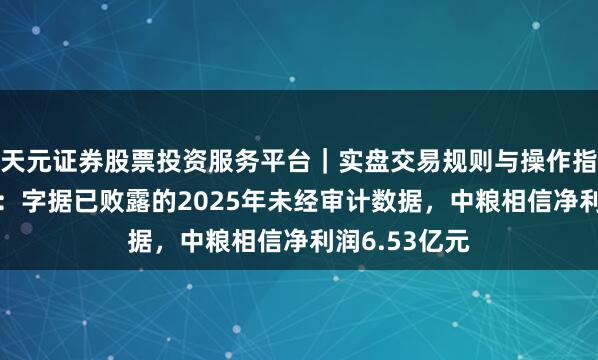 天元证券股票投资服务平台｜实盘交易规则与操作指南 中粮本钱：字据已败露的2025年未经审计数据，中粮相信净利润6.53亿元