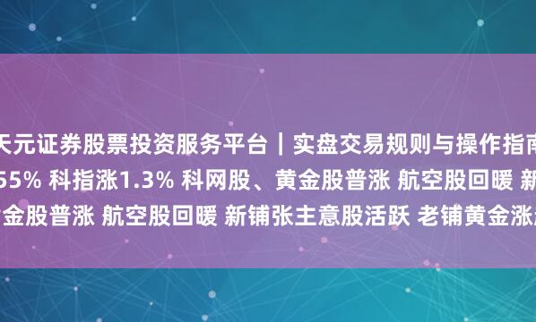 天元证券股票投资服务平台｜实盘交易规则与操作指南 快讯：恒指高开1.55% 科指涨1.3% 科网股、黄金股普涨 航空股回暖 新铺张主意股活跃 老铺黄金涨超10%