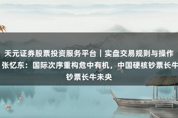 天元证券股票投资服务平台｜实盘交易规则与操作指南 张忆东：国际次序重构危中有机，中国硬核钞票长牛未央